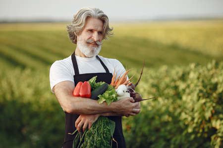 Senior with box vegetables garden background sunseの写真素材