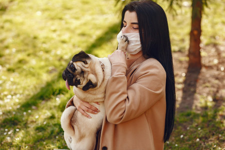 Brunette in a mask walks with pugの写真素材
