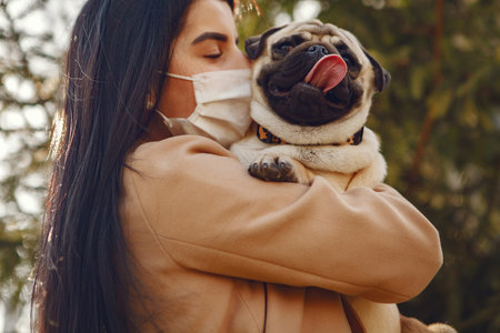 Brunette in a mask walks with pugの写真素材