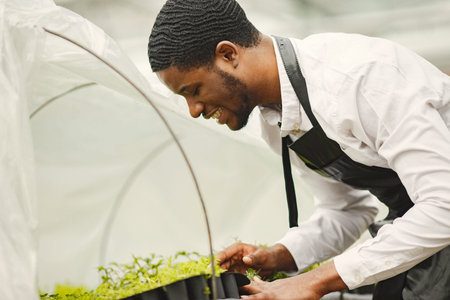 Guy takes care of plants in greenhouse