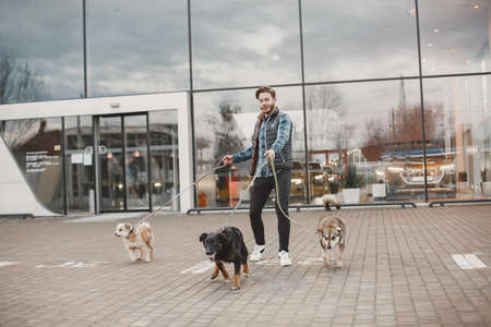 Man with a dogs in a cityの写真素材
