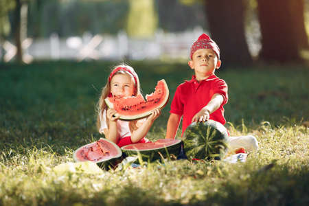 Cute little children with watermelons in a parkの写真素材