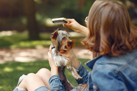 Two cute girls in a park playing with little dogの写真素材