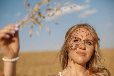 Beautiful elegant girl in a autumn fieldの写真素材