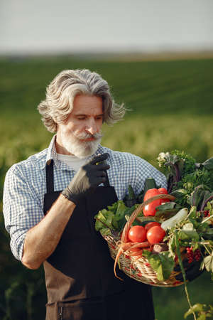 Senior with box vegetables garden background sunseの写真素材