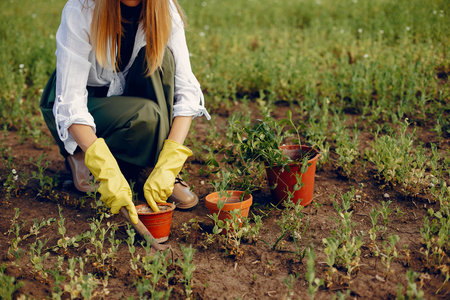Beautiful woman in a summer field