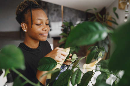 African woman take care about big plantの写真素材