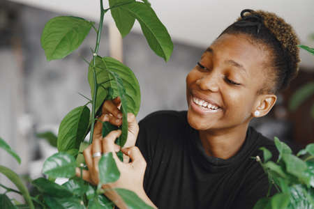 African woman take care about big plantの写真素材