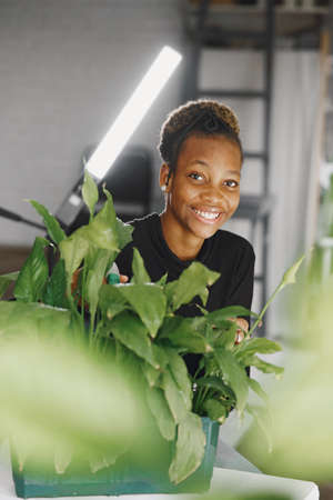 African woman take care about big plantの写真素材