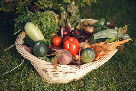 Portrait of smiling farmer holding vegetables basketの写真素材