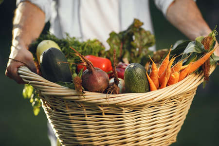 Portrait of smiling farmer holding vegetables basketの写真素材