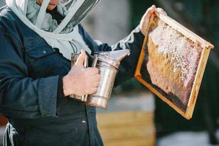Senior man beekeper collecting honey from honeycomb
