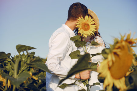 Beautiful and stylish couple in a field wirh sunflowersの写真素材