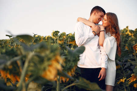 Beautiful and stylish couple in a field wirh sunflowersの写真素材