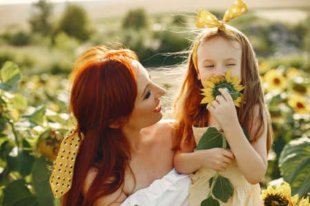 Beautiful and cute family in a field wirh sunflowersの写真素材
