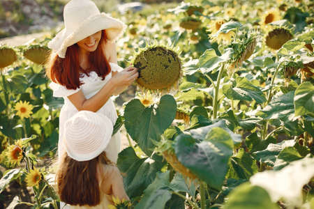 Beautiful and cute family in a field wirh sunflowersの写真素材