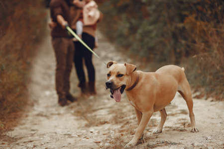 Cute and stylish family playing in a autumn fieldの写真素材