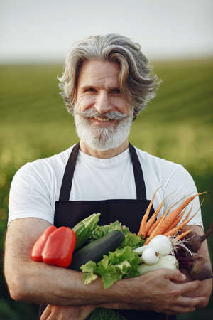 Senior with box vegetables garden background sunseの写真素材