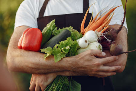 Senior with box vegetables garden background sunseの写真素材