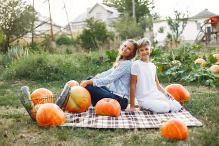 Mother and son sitting on a garden near many pumpkinsの写真素材