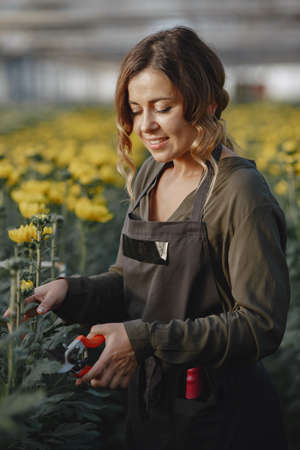 Woman in a green shirt working in a greenhouseの写真素材