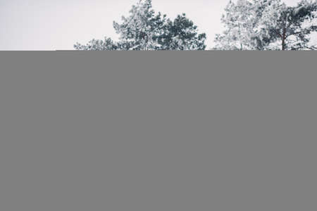 Beautiful couple playing with a dogの写真素材