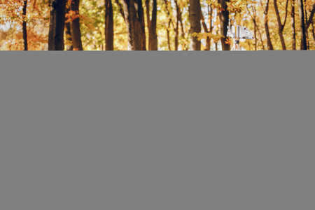 Beautiful and stylish family in a parkの写真素材