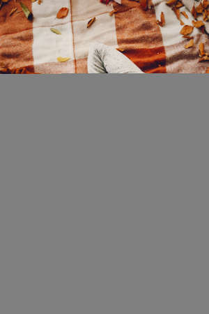 Family with cute kids in a autumn parkの写真素材