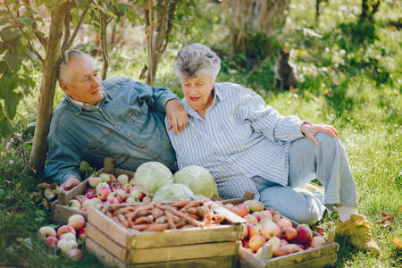 Old couple sittingin a summer garden with harvestの写真素材