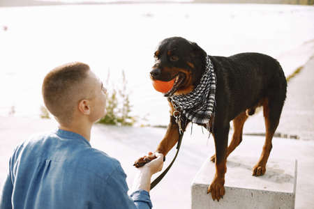 Man with rotweiller dog playing together near the lakeの写真素材