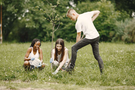 Young volunteers planting a tree together at parkの写真素材