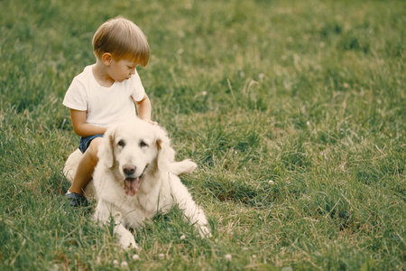 Little boy playing with his dog on a grassの写真素材