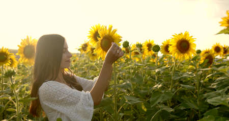 Girl caress yellow flower at the meadow at sunny dayの写真素材