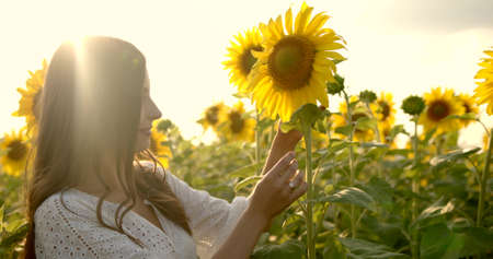 Girl caress yellow flower at the meadow at sunny dayの写真素材