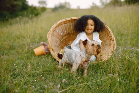 African baby girl in wicker basket with Yorkshire Terrier dogの写真素材