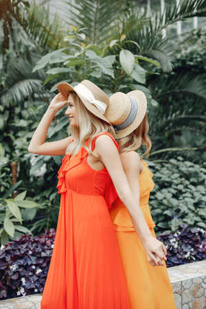 Elegant and stylish girls in a greenhouseの写真素材