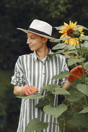 Woman in a hat and gloves standing near sunflowersの写真素材