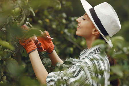 Woman in a hat gardening in her backyardの写真素材