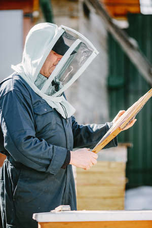 Senior man beekeper collecting honey from honeycombの写真素材