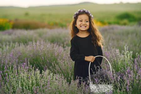 Little girl collects lavender in a basketの写真素材