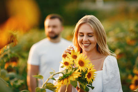 People spend time in a sunflowers fieldの写真素材