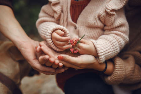 Cute and stylish family playing in a autumn fieldの写真素材