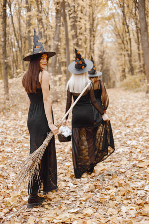 Three witches walking in forest on Halloweenの写真素材