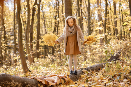Portrait of a fashion little girl walking in autumn forestの写真素材