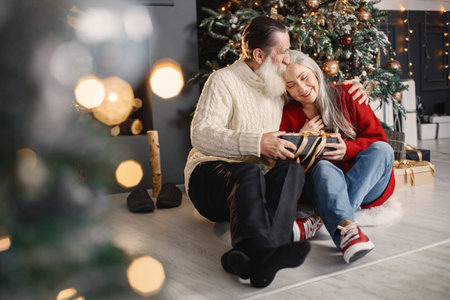 Senior man presenting christmas gift to his wife sitting near christmas treeの写真素材