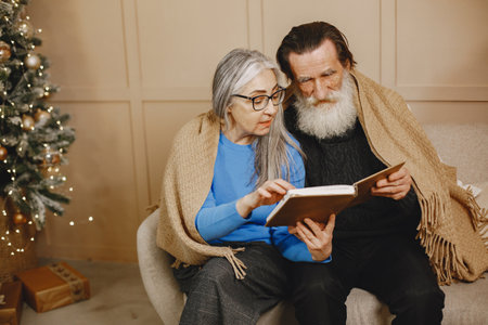 Senior couple with book near the Christmas treeの写真素材