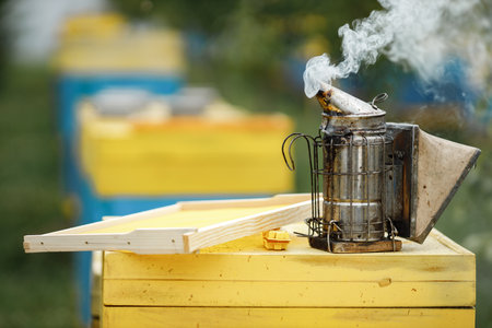 Cropped photo of bee smoker standing on beehouse on the apiaryの写真素材