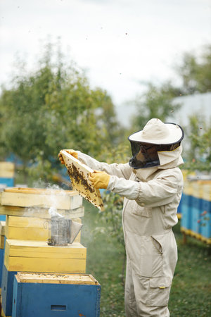 Beekeeper smoking honey bees with bee smoker on the apiaryの写真素材