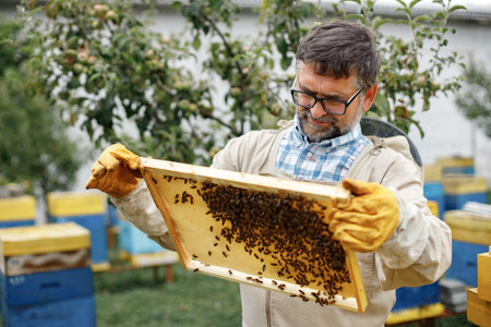 Farmer wearing bee suit removing honeycomb frame from beehive