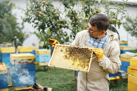 Beekeeper smoking honey bees with bee smoker on the apiary